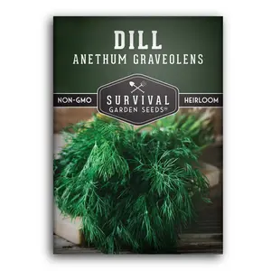 Dill Seed - Grow Herbs in Your Home Garden