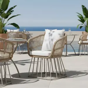 ModernLuxe Outdoor Wicker Dining Chair, Teak Finish Wicker & Beige Steel Frame, 300LBS Capacity with Cushion
