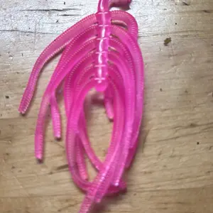 Trout worm 24pk