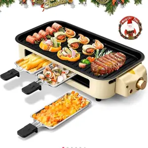 Suewrite electric smokeless indoor grill