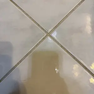 Product Review of Schenley 18-in-1 Steam Mop with Detachable Handheld Steamer for Walls, Floors, Tiles, Tackles Grease & Sticky Messes, Includes Multiple Accessories Cleaning Tools Cleaning Set from L**e