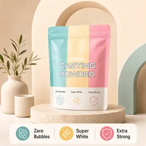 Casting Powder 1 kg, Zero Bubbles, Super White, Super Hard, Odorless, Plaster Gypsum Powder for Silicone Molds, 30 Minutes Demold, Suitable for Handicrafts, Decorations, Plaster Statues, DIY