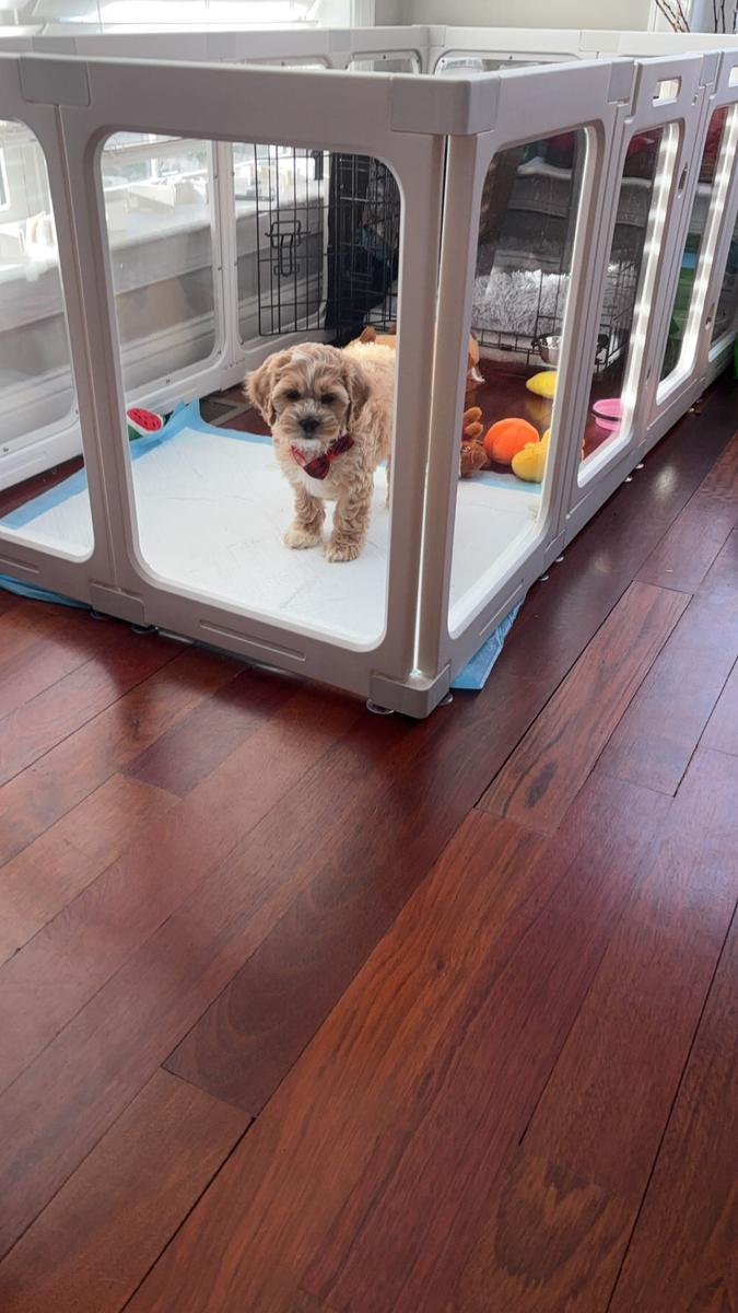 Item: White, 12 Panels