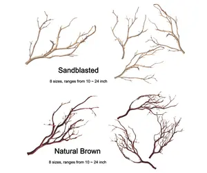 Kahee's Plants- Manzanita Branch (Sandblasted White)