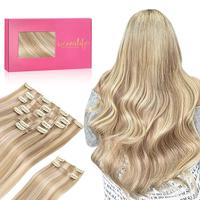 #18A/613A Dirty Blonde Highlights