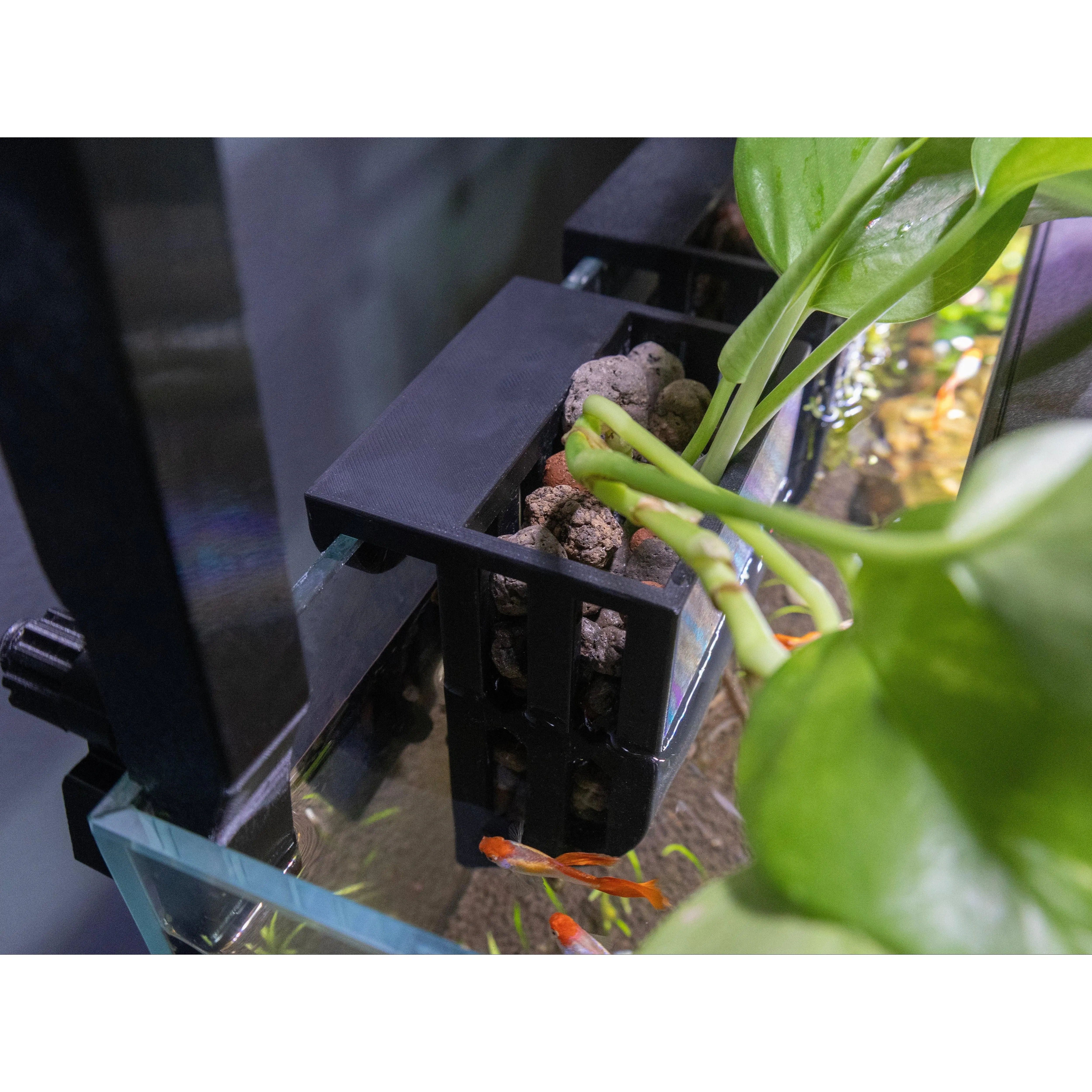 In-Tank Aquarium Plant Holder and Propagator | Mossari