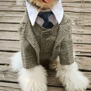 Pet Wedding Khaki Suit