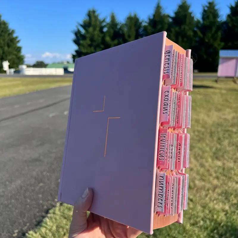 Pink Bible tabs Pink Bible tabs