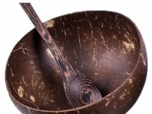 Coconut Shell Bowl & Spoon