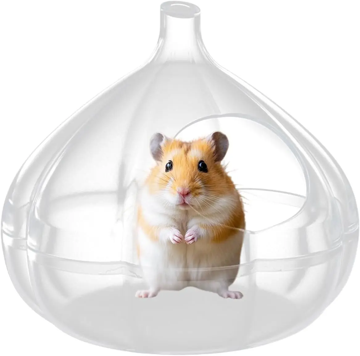 Colourtree Garlic-Shaped Small Animal Sand Bath House - Hamster Bathroom with Sand Guard Rim for Dwarf Hamsters Gerbils, Odorless Pet Grooming Hut