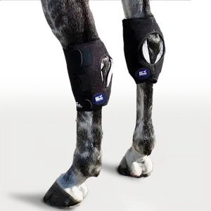Hock Wraps
