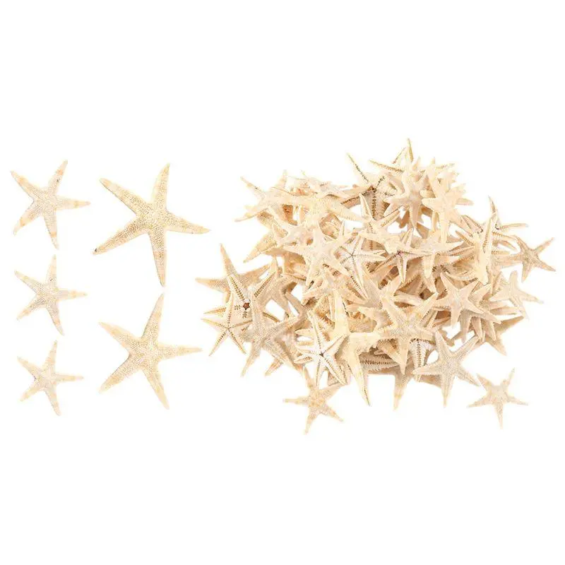 Small starfish, star, and sea shell beach crafts, 0.4–1.2 inches, 90 pieces