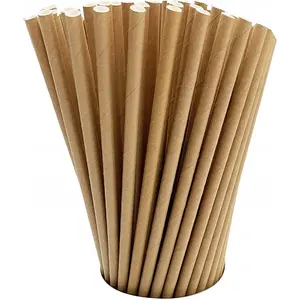 100 Pack  Paper Straws  co-Friendly Drinking Bulk for Party Supplies, Bridal/ Shower, Birthday, Mixed Drinks, Weddings, Restaurant,  Service