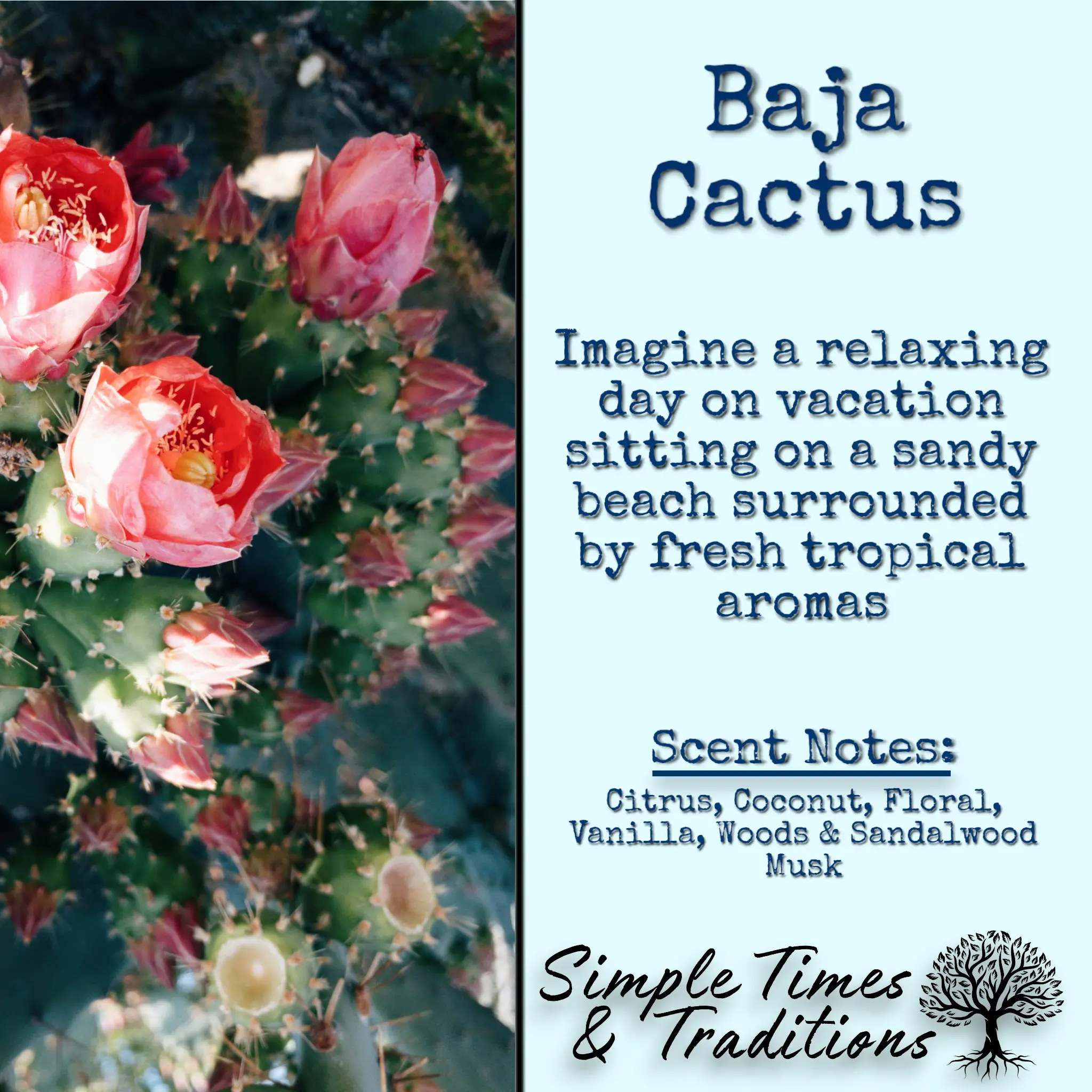 Baja Cactus