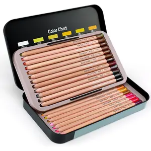 Pro Pastel Chalk Colored Pencils,24 Colors portrait set,Color Charcoal Pencils for Drawing Sketching Coloring Shading,Art Supplies for Adults Artists