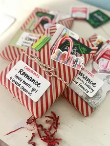 Christmas-wrapped Blind Date with a Book, multiple genres