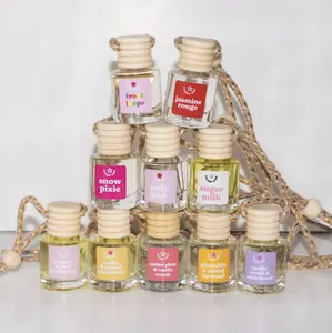 10 Pack Scented Car Freshener Air Fresheners - Top 10 Best Selling Car Fresheners