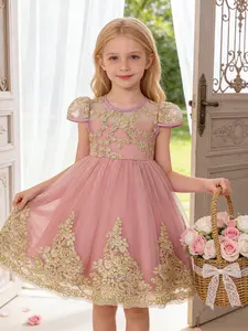 Toddler Girl's Glitter Embroidery Lace Flower Sweater Dress Elegant Romantic A Line Dress for Party Wedding Guest Kids Clothes for Spring & Fall Toddler Summer Dresses