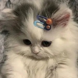 background preload poster image 