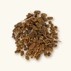 Natural Alder Cones (25g/50g) by Betta Botanicals for Shrimp Tanks & Blackwater Aquariums