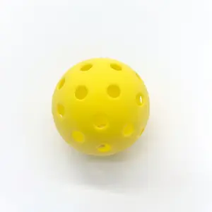 Outdoor sports training, leisure and entertainment, hole ball, pickleball, suitable for both indoor and outdoor use