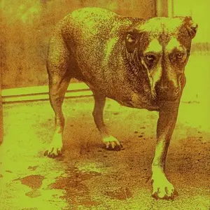 Alice in Chains- Alice In Chains VINYL
