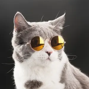 1 pair of Fashionable Cat Glasses for Dogs & Cats, Cool Sunglasses for Beauty and Photography, Random Colors, 8/9 Cm Pet Eye Accessories