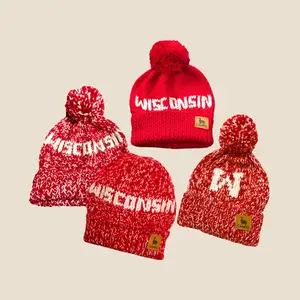 Wisconsin Alpaca Beanie