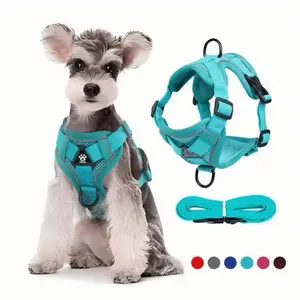 No Pull Dog Harness and Leash Set Adjustable Pet Harness Vest for Small Dogs Cats Reflective Dog Chest Strap Lead Walking