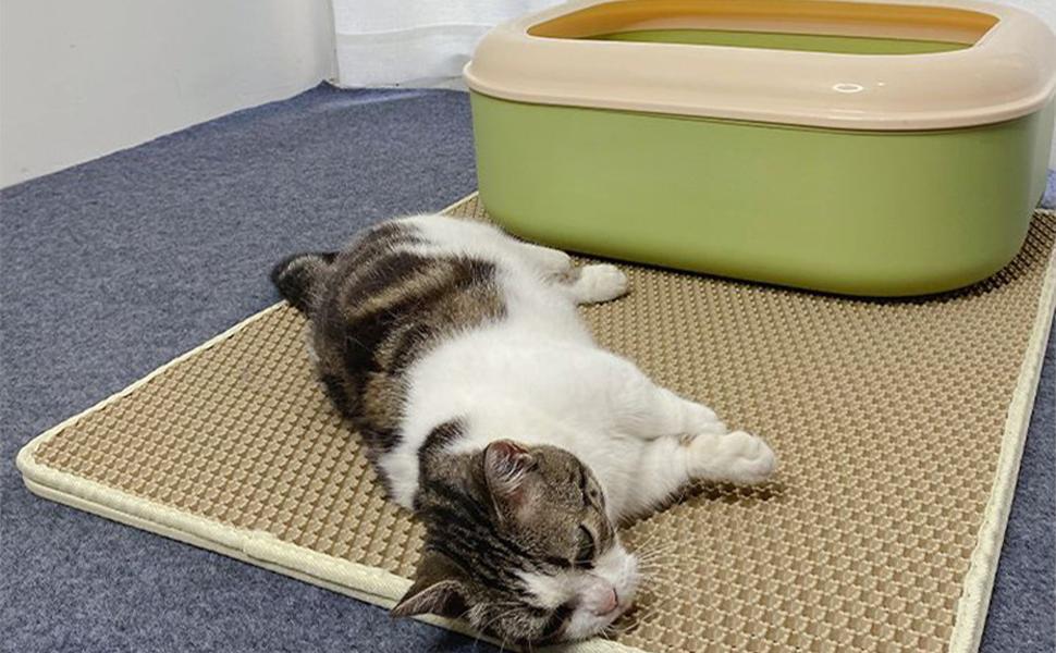 Cat Litter Mat, 35x24/24x18 Inch Double Layer Cat Litter Box Mat, EVA Non-Slip, Waterproof Urine Proof Cat Litter Catcher Mat, Easy Clean Scatter Control (35x24 Inch, Gray)