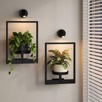 2 pack with 2 lights