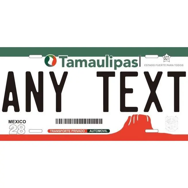 Custom Tamaulipas '13 cases/license plates