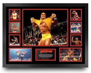 HULK HOGAN WWE WRESTLING LEGEND TRIBUTE No No Framed LTD ED MEMORABILIA