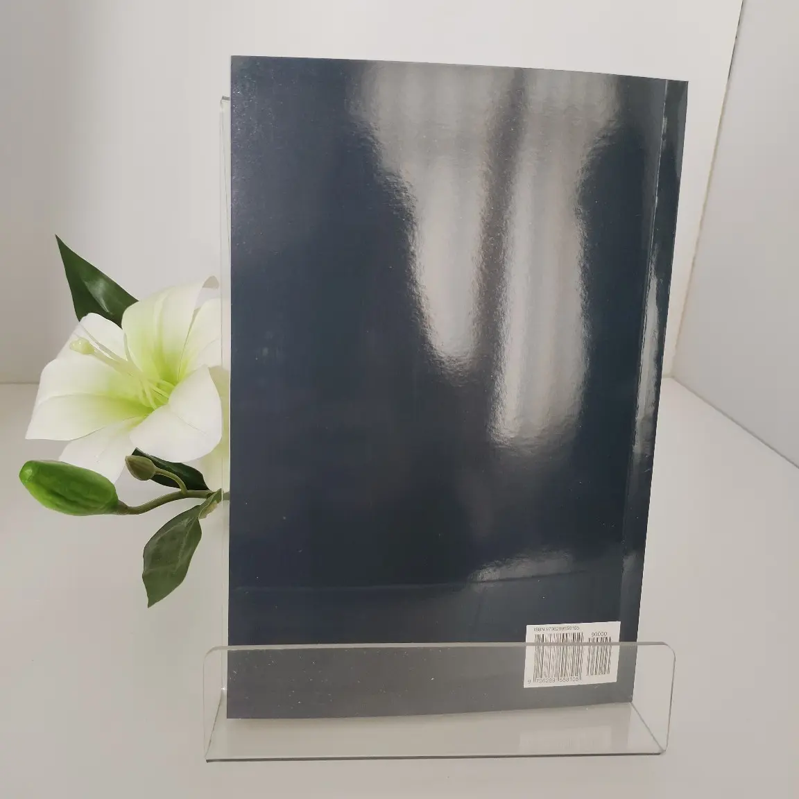 New Stock Natural Healing Handbook