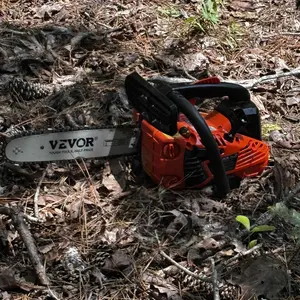 review image 5