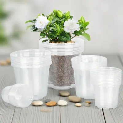 12 Inch Clear Pots for Plants - TikTok Shop