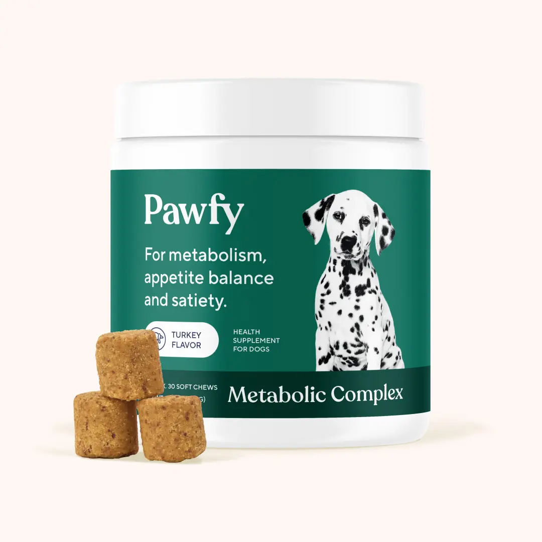 Pawfy Metabolic Complex Dog Soft Chews - Turkey Flavor Weight & Appetite Support with 4.5B Probiotics, L-Carnitine, Prebiotic Fiber - 30 Count
