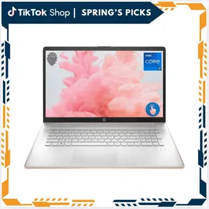 HP Business Laptop, 17.3" HD+ Touchscreen, Intel Core i7-1355U, up to 64GB RAM, up to  2TB SSD, Webcam, HDMI, Backlit Keyboard, Fingerprint Reader, Wi-Fi 6, Windows 11, Pale Rose Gold