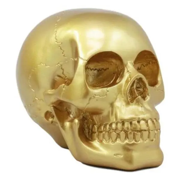 Pirate's Loot Gold Skull Resin Statue - 5.5" Long 4.5" Tall 4" Wide Day of the Dead Gothic Figurine, Collectible Figurines for Pirate Enthusiasts, Prosperity-Focused Home Decor Treasure Accent