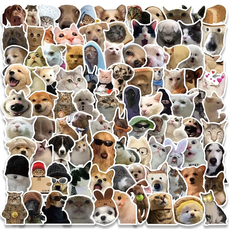 Premium 5-Pack Random Cute Dog & Cat Viral Memes