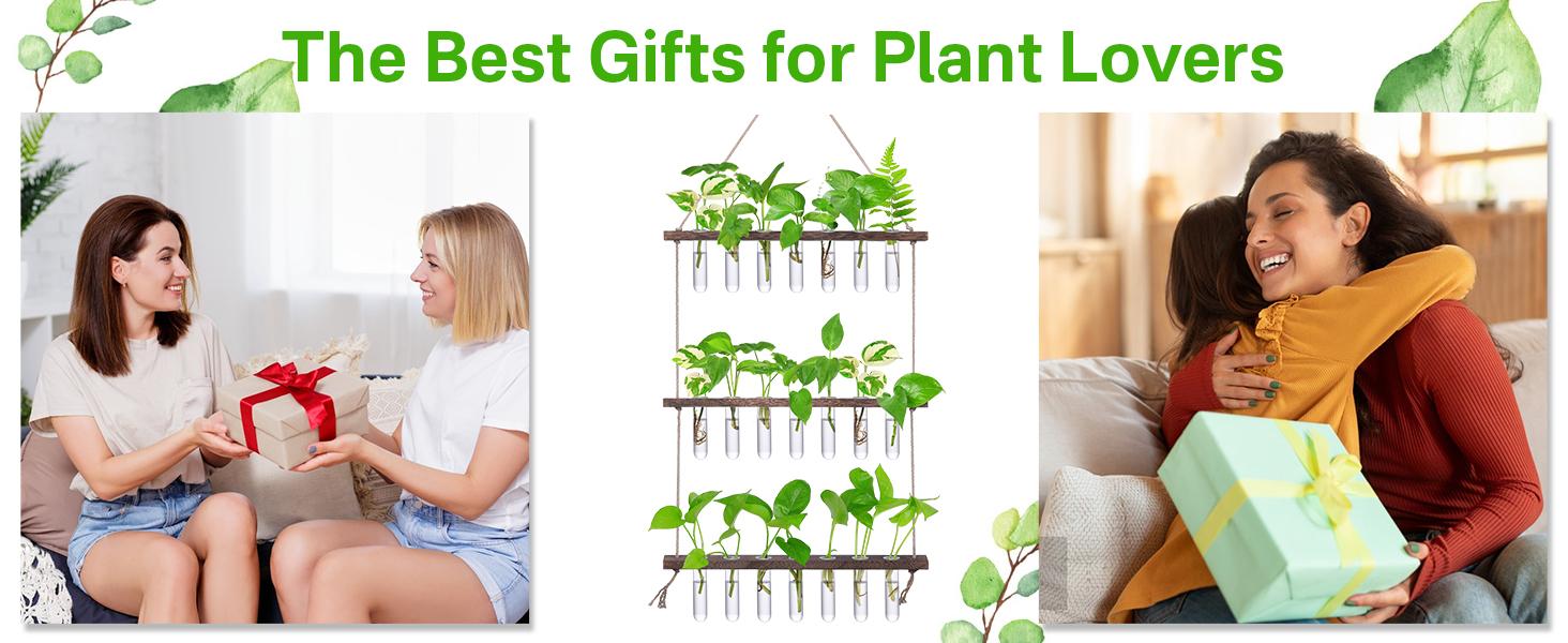 Renter-Friendly Large Indoor Plant Wall Hanger 3-Tier Glass Test Tube Planter 15.7" Wide for Small Apartments Office Spaces Decor Hanging