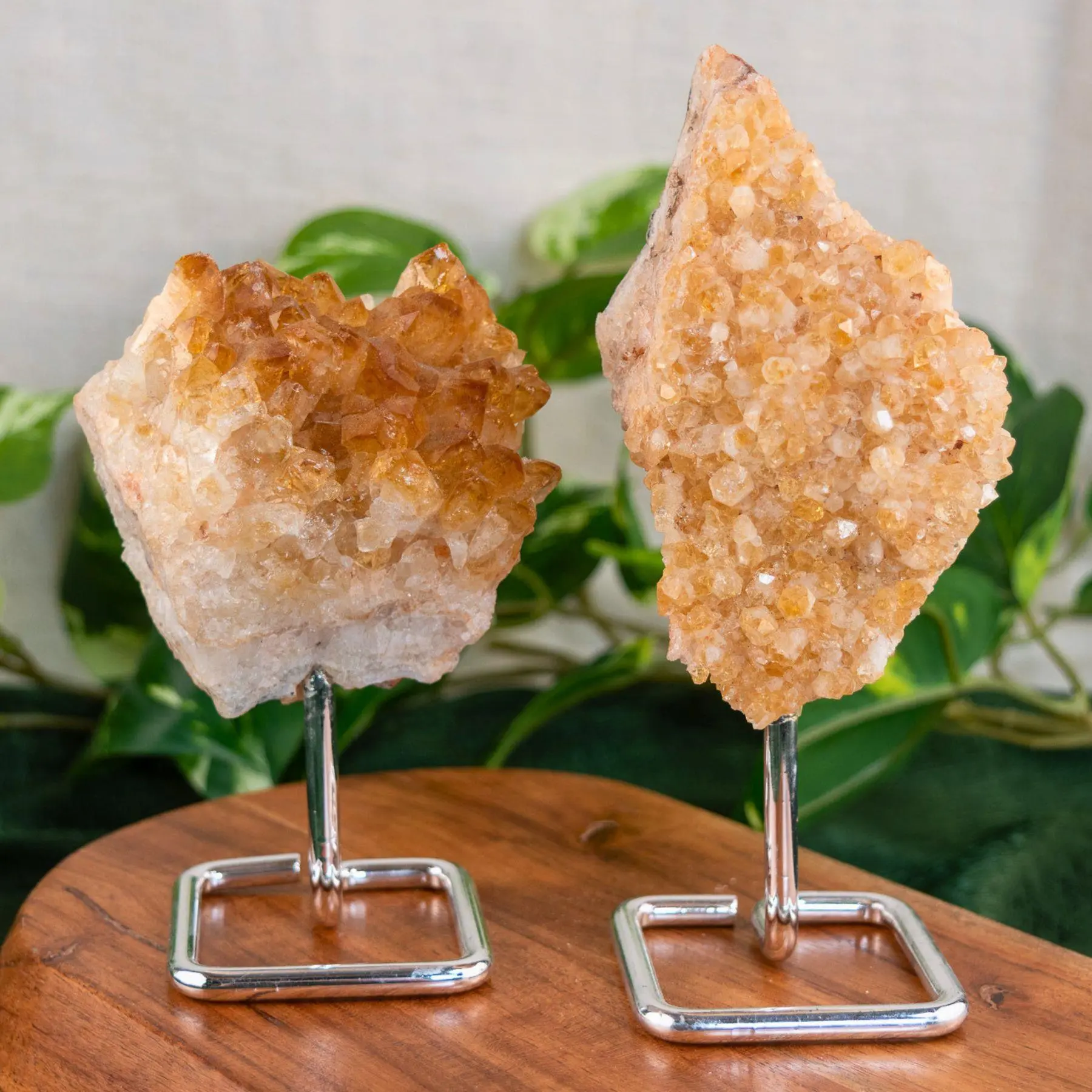 Down to Earth Druze Citrine on Stand