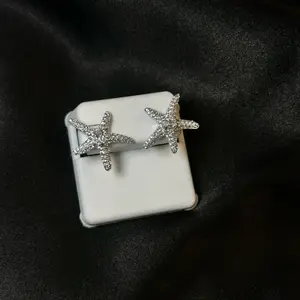 Aretes de estrella Cz 925