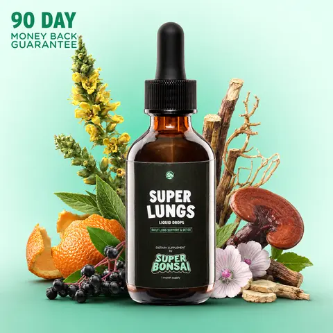 SuperBonsai Super Lungs Natural Healthcare Supplement for Adults - Mullein, Elderberry Botanicals, Respiratory Support, Detox Cleanse, Sugar-Free, Non-GMO, Gluten-Free, Vegan, Antioxidant Nutritional Natural Supplements