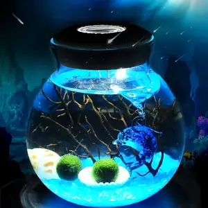 Mizar - Romantic Live Marimo Pet Habitat, Big Dipper Bottle Crystal Water Garden, Adorable Moss Ball Micro-Landscape & Elegant Self-Sustaining Ecosystem (Includes 2 Live Marimo Pets)
