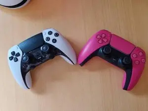 PS5 PAD
