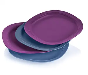 Tupperware Microwave Reheatable Luncheon Plates