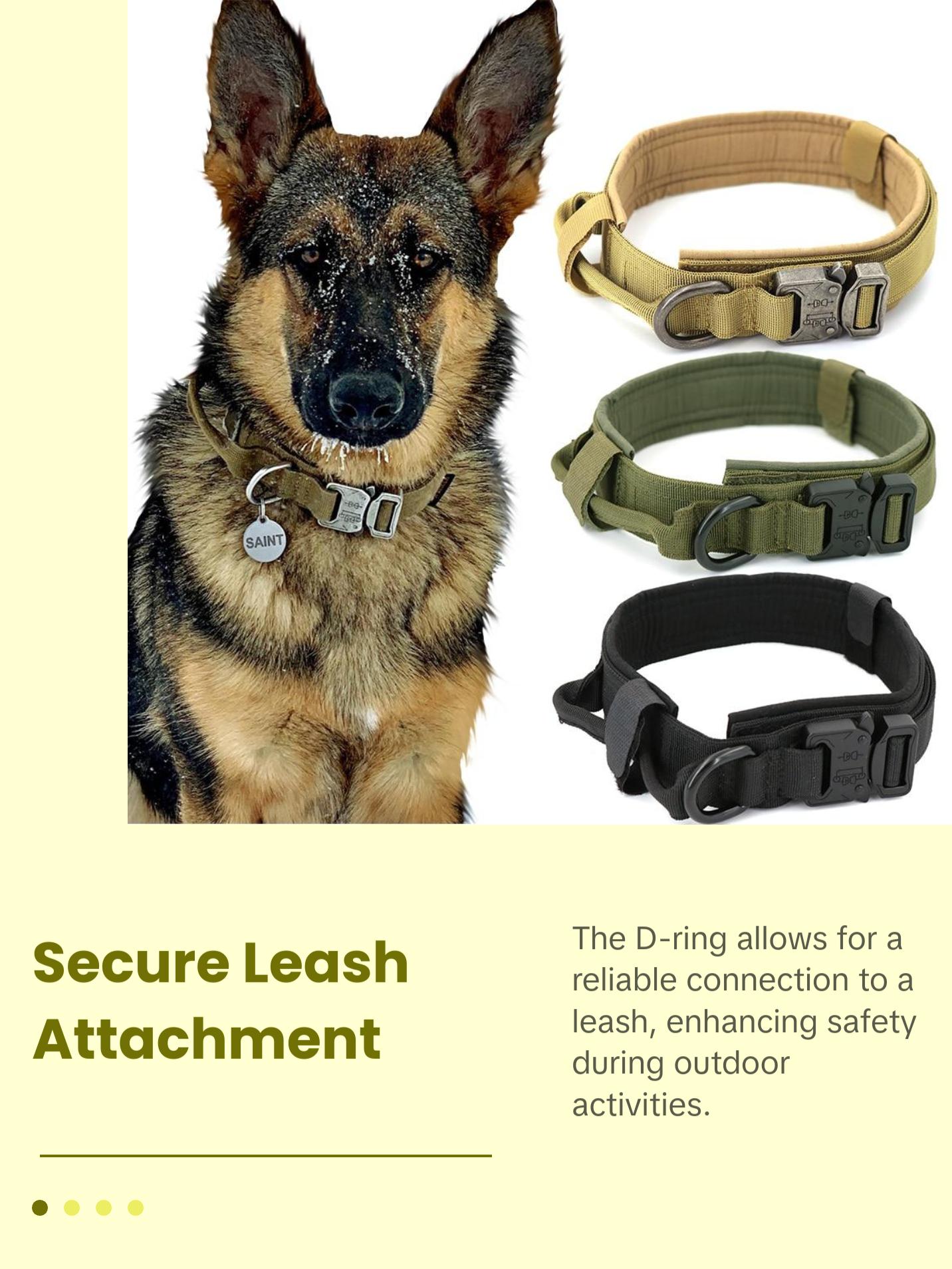 Heavy-Duty Dog Collar with Handle – Durable, Adjustable, Escape-Proof