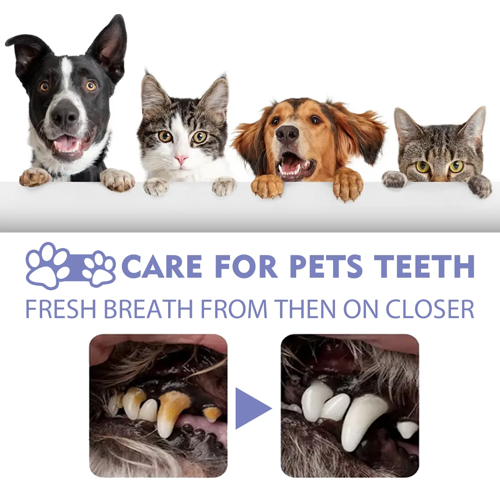 Pet Dogs & Cats Dental Care Spray, Vet-Recommended Breath Freshener & Teeth Cleaning Spray, Eliminate Bad Breath, Relieve Gum Redness & Infections, Reduce Plaque & Tartar, No Brushing