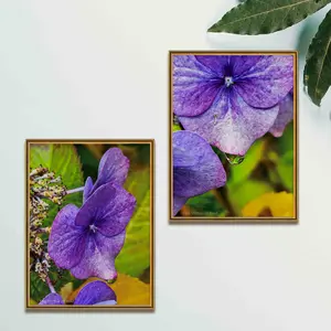 The Virtue of God Contemporary Interior Floral Wall Art Décor | Autumn Purple Hydrangea Canvas Set Decor | Nature Macro Photo Posters for Living Room